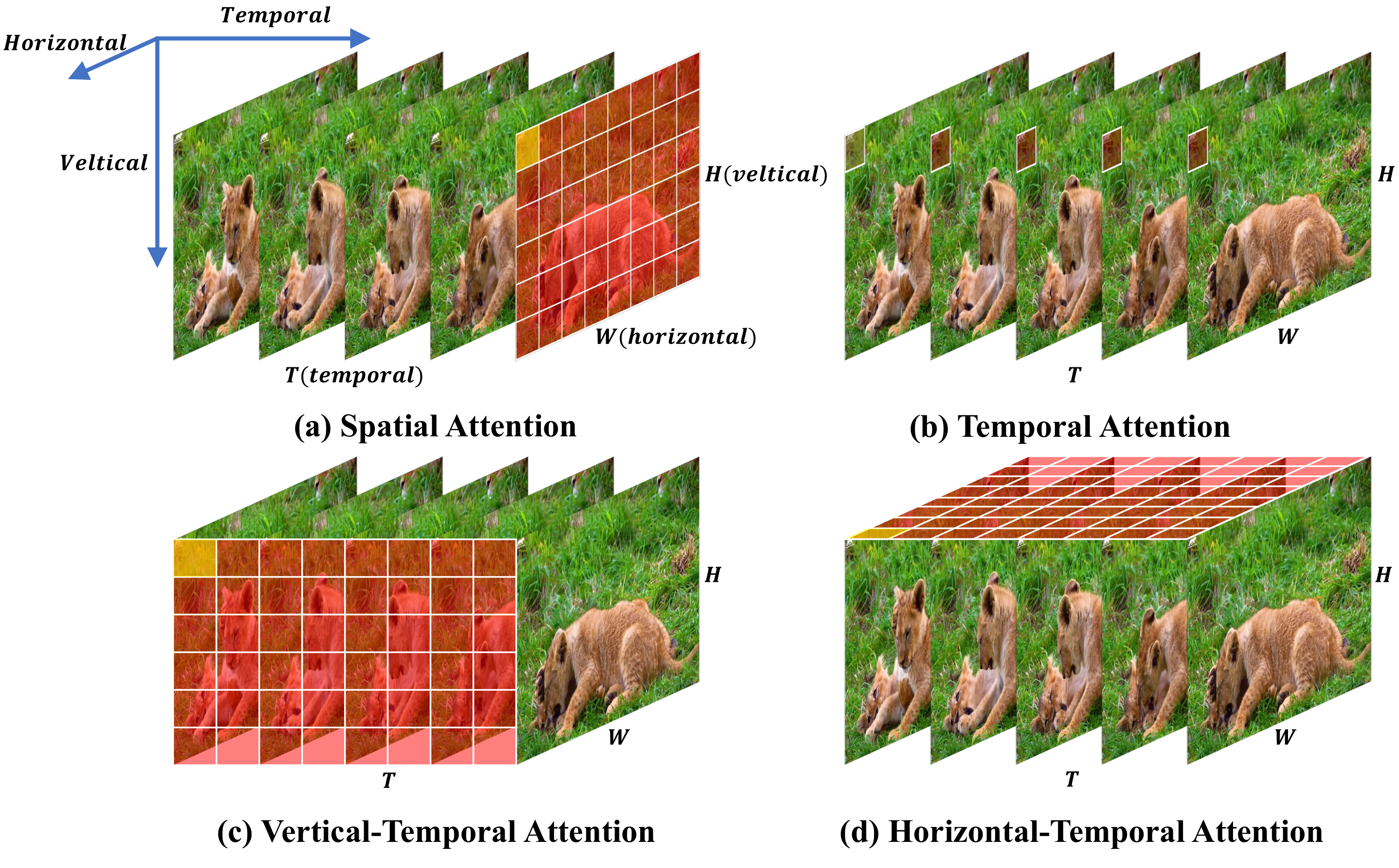 Representative figure from DualX-VSR